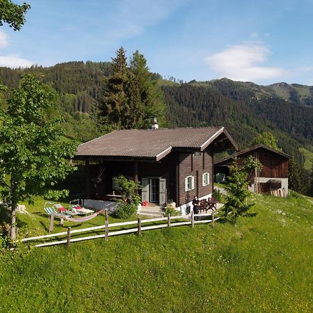 Appartement Bauernhof Auhof à Wagrain Extérieur photo