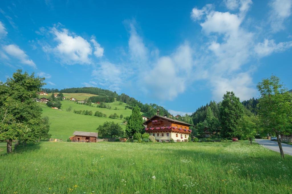 Appartement Bauernhof Auhof à Wagrain Extérieur photo