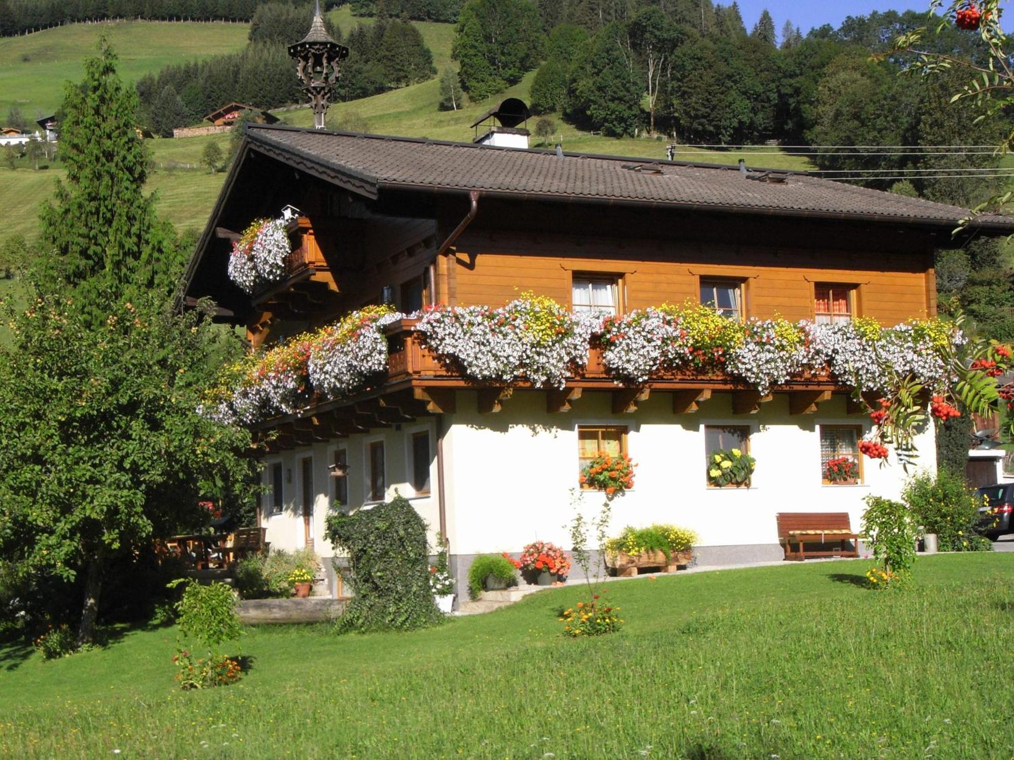 Appartement Bauernhof Auhof à Wagrain Extérieur photo