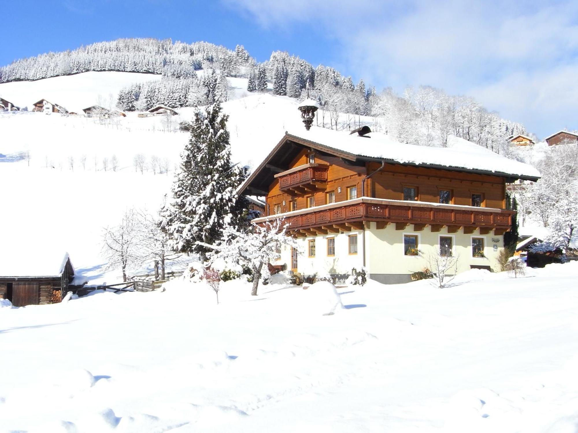 Appartement Bauernhof Auhof à Wagrain Extérieur photo