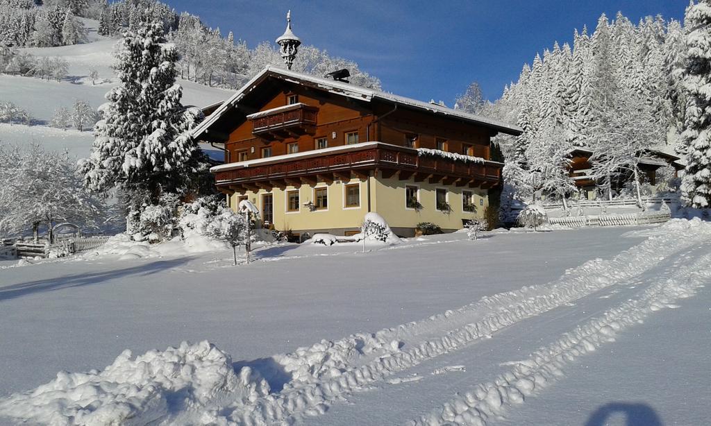 Appartement Bauernhof Auhof à Wagrain Extérieur photo